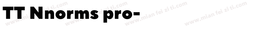 TT Nnorms pro字体转换